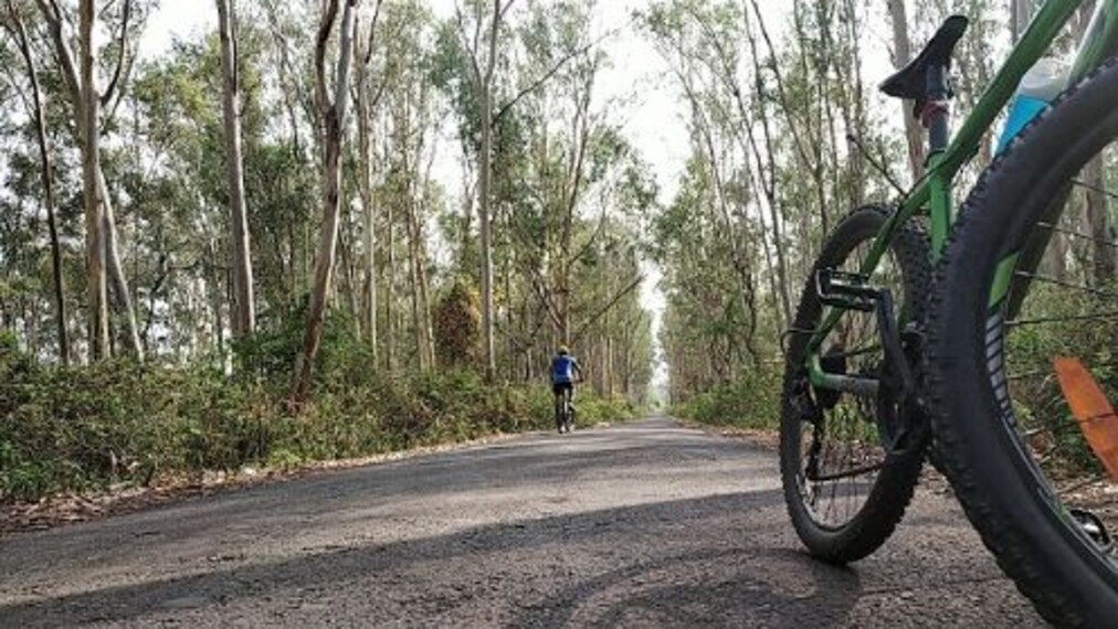 Bir Shikargah Wildlife Sanctuary-1